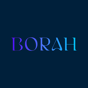 Logo de la empresa Borah Digital Labs